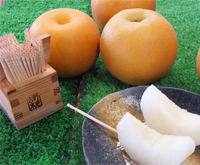 夏光梨